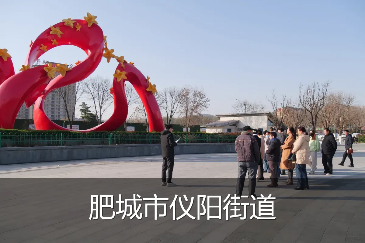 肥城市仪阳街道
