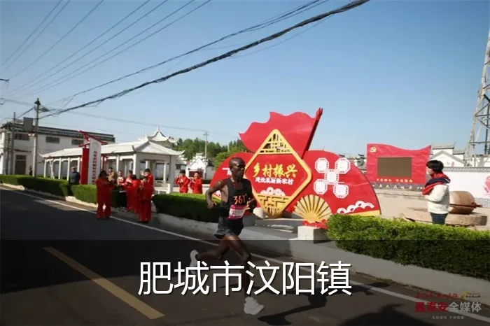 肥城市汶阳镇