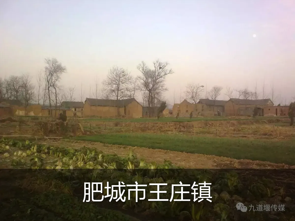 肥城市王庄镇